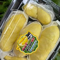 พัชรีทุเรียนซิ่ง (เบิกไพร)