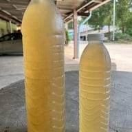 Big Fish Siam@Siam Design Hotel Pattaya