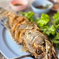 เจ๊เหมียวทะเลสด