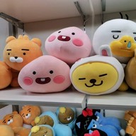 Dongdaemun Design Plaza (DDP)