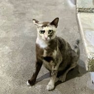 สมภพรสเด็ด พัทยาใต้