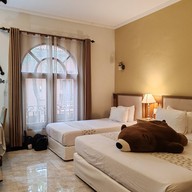 หมีกอดหมอน