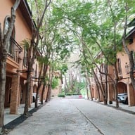 หมีกอดหมอน