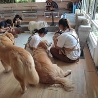 บรรยากาศ ฮัสกี้เฮ้าส์คาเฟ่ บางแสน