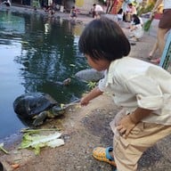 บรรยากาศ วัดโพสพผลเจริญ