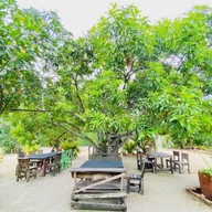 ร้านอาหารบ้านกลางสวน