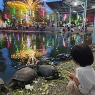 บรรยากาศ วัดโพสพผลเจริญ