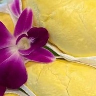 ครูศิริวรรณ ทุเรียนเกรดพรีเมี่ยม เซ็นทรัลลาดพร้าว