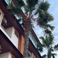 โรงแรมเจ้าพระยาธาราริเวอร์ไซด์