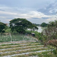 โรงแรมเจ้าพระยาธาราริเวอร์ไซด์