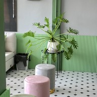ปาดหวาน -