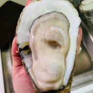 หอยนางรมสุราษฎร์ bkk เจริญนคร เจริญนคร