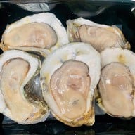 หอยนางรมสุราษฎร์ bkk เจริญนคร เจริญนคร