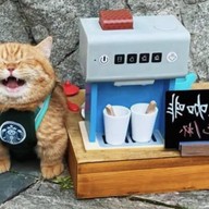 สวีททรัครถน้ำสีเขียว กาแฟสดโมก้าพอม ชาใต้ ผลไม้สด (เมืองใหม่ชัยมงคล)