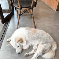 The Humble Jack Cafe & Bistro