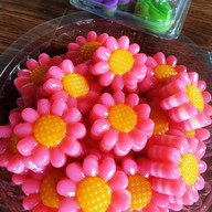 บ้านปลากัด