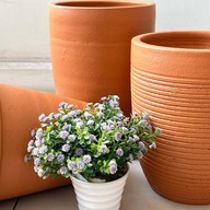 Tree & Pots & Garden Furniture