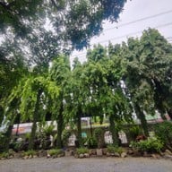 บรรยากาศ ร้านอาหารมุมตัสซ์ MUMTAS