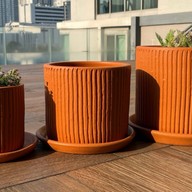 Tree & Pots & Garden Furniture