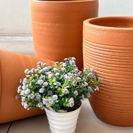 Tree & Pots & Garden Furniture