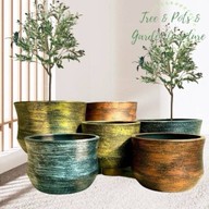Tree & Pots & Garden Furniture