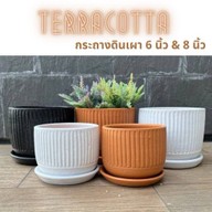 Tree & Pots & Garden Furniture