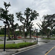 สวนสาธารณะลานออดหลอด