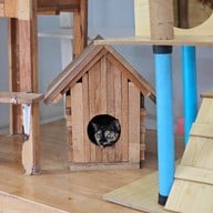 ศูนย์อนุรักษ์แมวไทยโบราณ