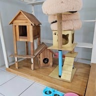 ศูนย์อนุรักษ์แมวไทยโบราณ