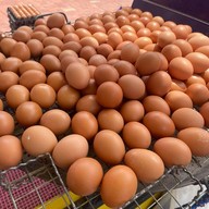 เมนูของร้าน ลุงจ่อย ไข่ปิ้งหน้าอาชีวะ