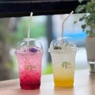 ลานไทรคาเฟ่