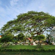 มารดาเรือน