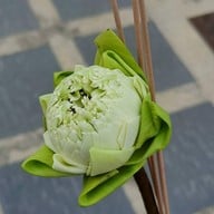 บรรยากาศ วัดโบสถ์