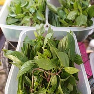 เจ๊เพ็ญหมูตุ๋น หนองแค สระบุรี