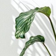 ปิด (ราคาอาหารอาจมีการเปลี่ยนแปลงขึ้นอยู่ที่ราคาวัตถุดิบในแต่ละวัน)