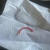 ลองแล ข้าวแกงใต้