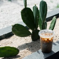 BOTANY BREW หาดน้ำริน