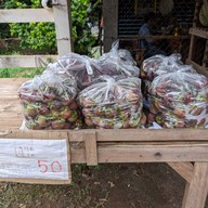 สวนอิงธาร ทุเรียนภูเขาไฟ