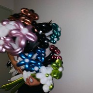 Balloons flowers (wich official)