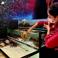 Red Lobster Emsphere