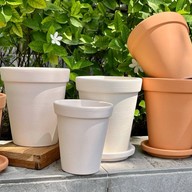 Tree & Pots & Garden Furniture