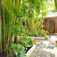 Baanpong Lodge - Chiangmai