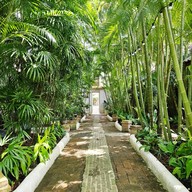 Baanpong Lodge - Chiangmai