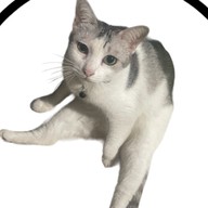 กล้วยทอด Pruksa Ville64