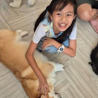 Dog In Town Ari อารีย์