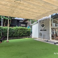 Dog In Town Ari อารีย์