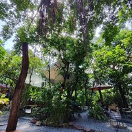 Resfeber cafe รังสิต