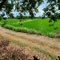 สวนสาธารณะหนองหม้อแกว