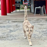 ชุมชนบ้านขุนสมุทรจีน