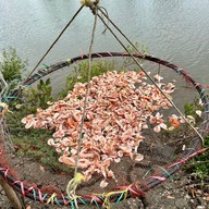 ชุมชนบ้านขุนสมุทรจีน